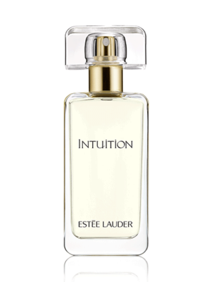 INTUITION