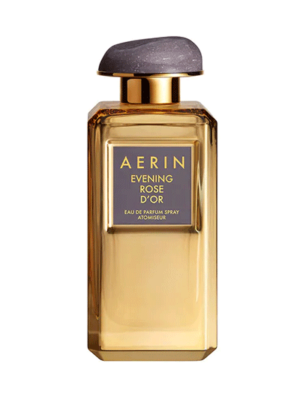 EVENING ROSE D'OR